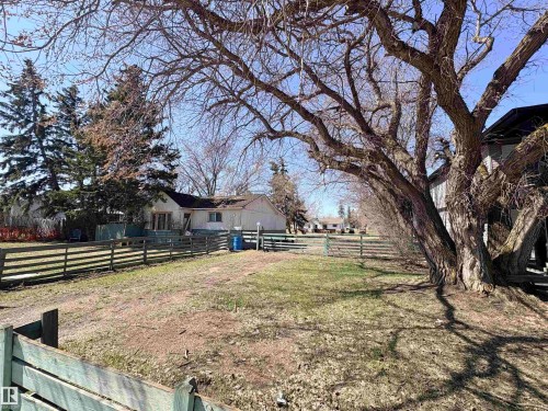 Spacious lot featuring a mature deciduous tree, evergreen trees, and a wooden fence - 5010 50 Street, Ardmore, AB 