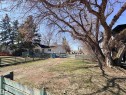 Spacious lot featuring a mature deciduous tree, evergreen trees, and a wooden fence - 5010 50 Street, Ardmore, AB 