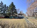 Expansive rear yard featuring mature evergreen trees and established perimeter shrubbery - 5010 50 Street, Ardmore, AB 