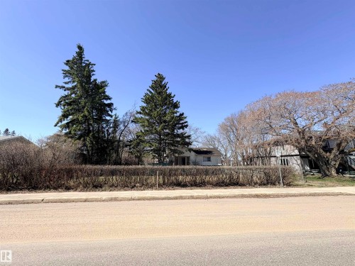 Level lot featuring a mature evergreen tree and established hedging - 5010 50 Street, Ardmore, AB 
