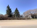 Level lot featuring a mature evergreen tree and established hedging - 5010 50 Street, Ardmore, AB 