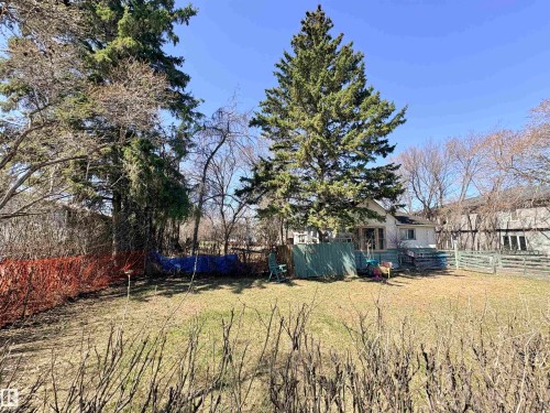 Expansive rear yard featuring mature evergreen trees and a white-sided residence with multiple windows - 5010 50 Street, Ardmore, AB 