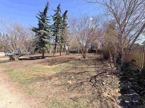 Expansive lot featuring mature evergreen trees, established deciduous trees, and a wooden privacy fence - 5010 50 Street, Ardmore, AB 