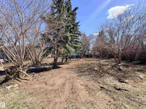Generous outdoor space featuring mature evergreen trees and established deciduous shrubs - 5010 50 Street, Ardmore, AB 