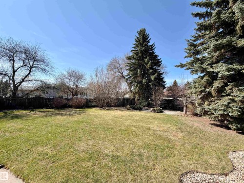 Expansive rear yard featuring a large lawn area, mature evergreen trees, and a dark-toned perimeter fence - 16536 103 Street, Edmonton, AB - Outdoor