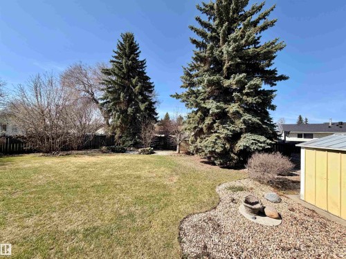 Expansive backyard featuring a manicured lawn, mature evergreen trees, and a decorative rock garden - 16536 103 Street, Edmonton, AB - Outdoor