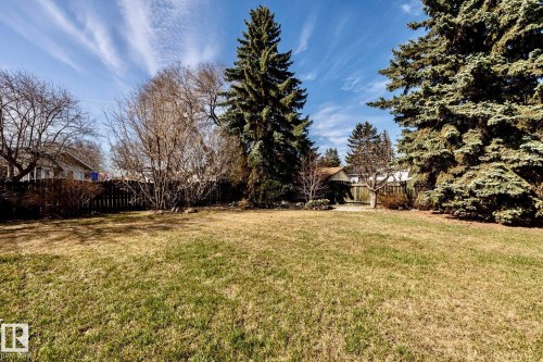Expansive private yard featuring mature evergreen trees and a wood fence enclosure - 16536 103 Street, Edmonton, AB - Outdoor