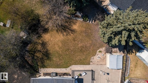 Expansive backyard featuring a large lawn area, mature trees, concrete patio, and a storage shed - 16536 103 Street, Edmonton, AB - Outdoor With View