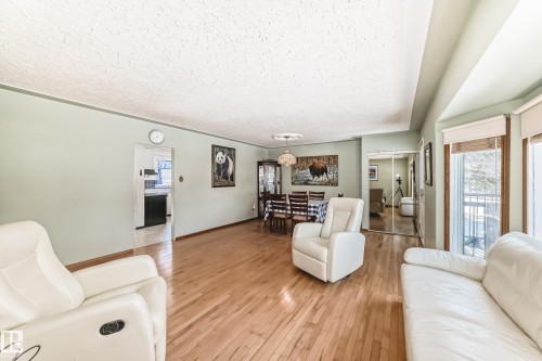 10927 146 Street, Edmonton, AB - Indoor Photo Showing Living Room