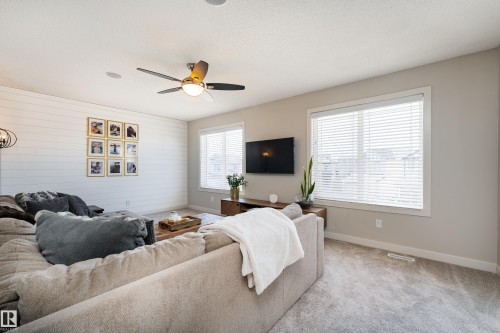 Living area featuring a shiplap accent wall, two large windows with blinds, light gray carpeting, recessed lighting, and a ceiling fan - 22064 95 Avenue, Edmonton, AB - Indoor Photo Showing Living Room