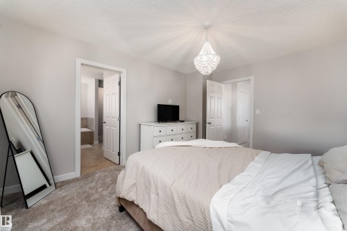Bedroom featuring light-toned walls and plush carpeting - 22064 95 Avenue, Edmonton, AB - Indoor Photo Showing Bedroom