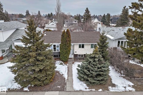 The property features a traditional exterior with a brown shingle roof, a front walkway, and mature evergreen trees - 9813 152 Street, Edmonton, AB - Outdoor