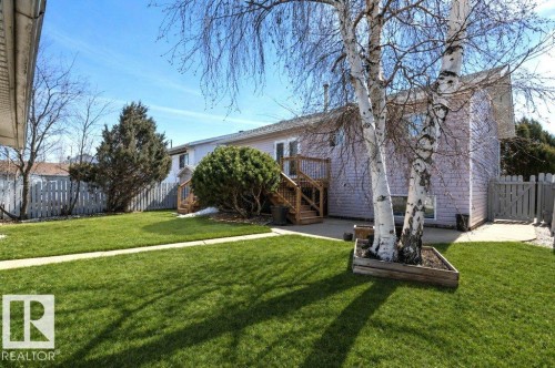 Lush green lawn with mature birch trees and a privacy fence - 10812 109 Street, Westlock, AB - Outdoor