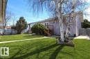 Lush green lawn with mature birch trees and a privacy fence - 10812 109 Street, Westlock, AB  - Outdoor 