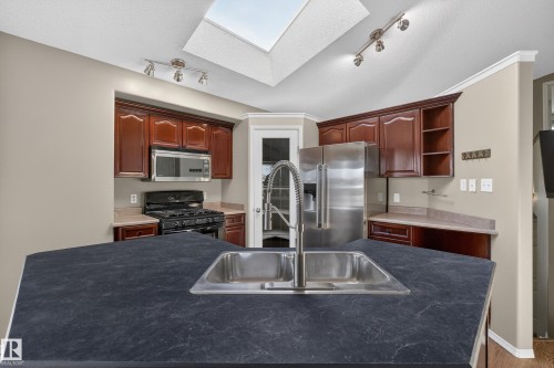3779 18 Street, Edmonton, AB - Indoor Photo Showing Kitchen With Double Sink