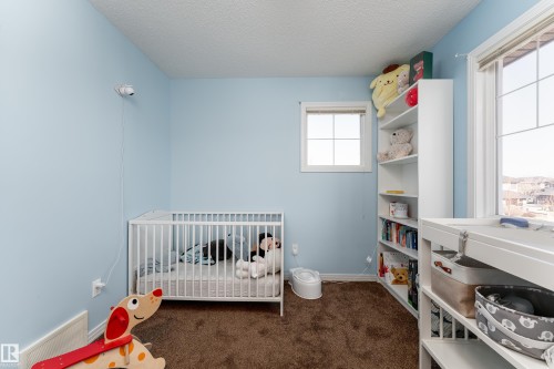 1019 177 Street, Edmonton, AB - Indoor Photo Showing Bedroom