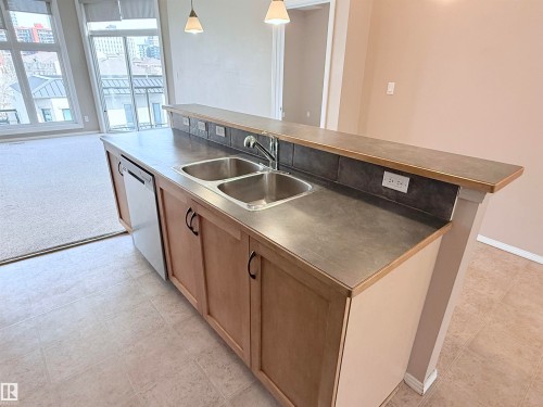 513 10147 112 Street, Edmonton, AB - Indoor Photo Showing Kitchen With Double Sink