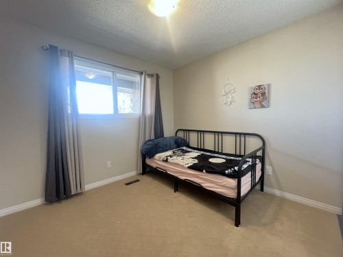 18160 96 Avenue, Edmonton, AB - Indoor Photo Showing Bedroom