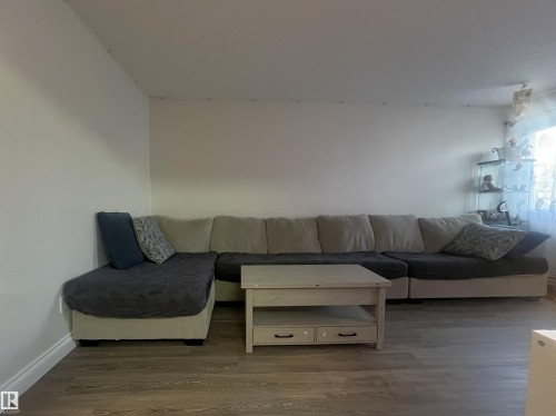 18160 96 Avenue, Edmonton, AB - Indoor Photo Showing Living Room