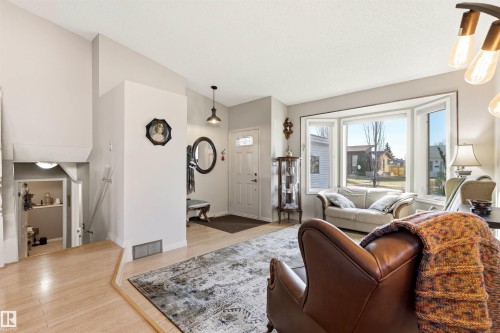 18216 98A Avenue, Edmonton, AB - Indoor Photo Showing Living Room
