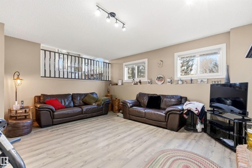 18216 98A Avenue, Edmonton, AB - Indoor Photo Showing Living Room