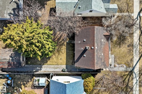 Shingle-roofed property with multiple roof vents, mature landscaping, and concrete pathways - 10954 62 Avenue, Edmonton, AB - Outdoor
