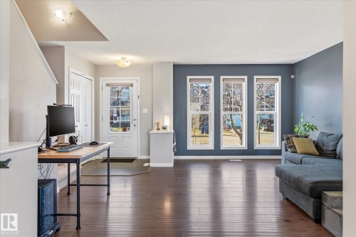 Open-concept living space featuring wood-finish flooring, a contemporary blue accent wall, and three tall windows providing natural illumination - 7114 22 Avenue, Edmonton, AB - Indoor