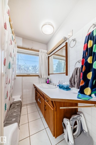 12106 48 Street, Edmonton, AB - Indoor Photo Showing Bathroom