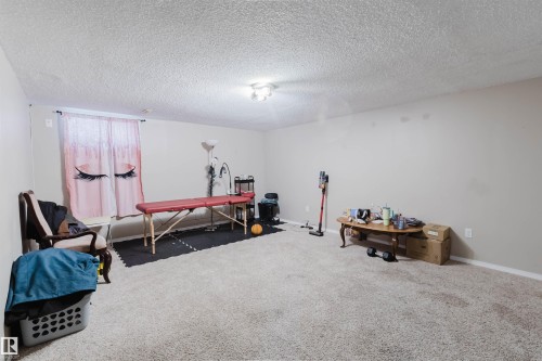 Spacious room featuring neutral-toned walls, textured ceiling, and light-colored carpeting - 10519 36A Avenue, Edmonton, AB - Indoor