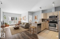 307 10611 117 Street Edmonton, AB T5H 0G6