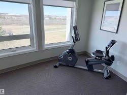 Dual windows with white frames, offering natural light and scenery - 