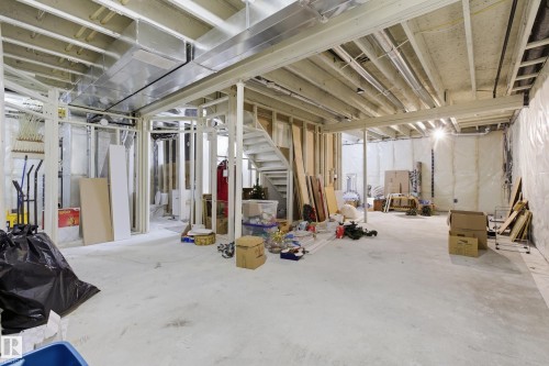 295 Youville Drive E, Edmonton, AB - Indoor Photo Showing Basement