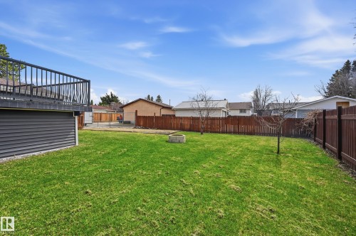 Expansive backyard featuring a large green lawn, brown privacy fencing, and a raised deck with dark railings - 1729 65 Street, Edmonton, AB - Outdoor With Backyard