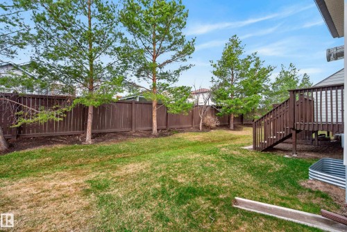 Expansive backyard featuring a brown wooden privacy fence, mature evergreen trees, and a multi-level wooden deck with stairs - 17 171 Brintnell Boulevard, Edmonton, AB - Outdoor With Backyard