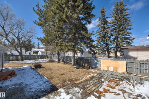 Expansive backyard featuring mature evergreen trees and a wood deck - 4712 49 Street, Calmar, AB - Outdoor