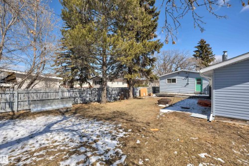 Spacious rear yard featuring mature evergreen trees, a wooden privacy fence, and a detached building with light blue siding and a vibrant green door - 4712 49 Street, Calmar, AB - Outdoor