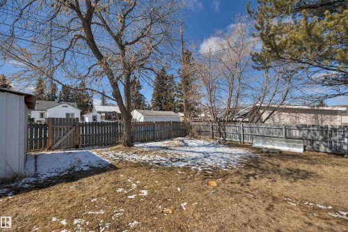 Fenced backyard featuring mature trees, a wooden gate, and a white storage shed - 4712 49 Street, Calmar, AB - Outdoor
