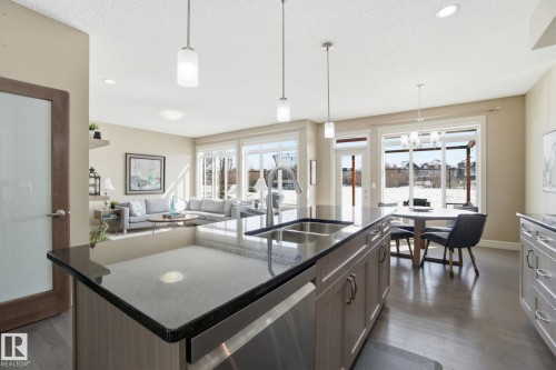 2133 Blue Jay Point(E), Edmonton, AB - Indoor Photo Showing Kitchen With Double Sink With Upgraded Kitchen