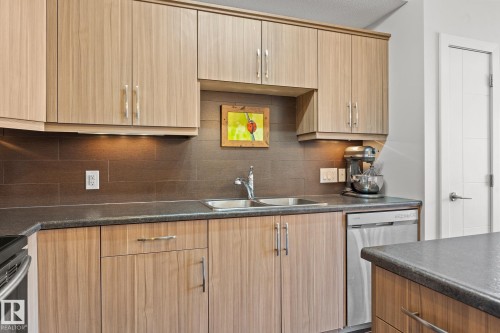 202 10523 123 Street, Edmonton, AB - Indoor Photo Showing Kitchen With Double Sink