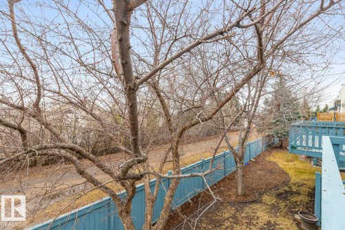 Elevated wood deck with blue painted railings overlooking a backyard with a blue wooden fence and mature trees - 47 1130 Falconer Road, Edmonton, AB - Outdoor