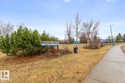 Falconer Heights Park sign surrounded by evergreen shrubs and bare trees - 