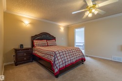 Carpeted room with crown molding and textured ceiling - 