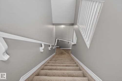 Carpeted staircase with light gray walls, white handrail, and white balusters - 6912 22 Avenue, Edmonton, AB - Indoor Photo Showing Other Room