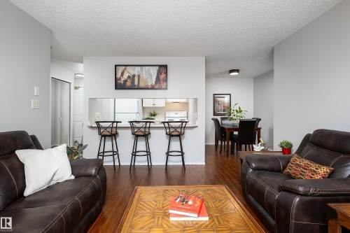 340 17447 98A Avenue, Edmonton, AB - Indoor Photo Showing Living Room