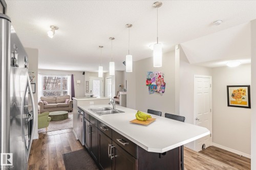 4320 Prowse Link Link, Edmonton, AB - Indoor Photo Showing Kitchen With Double Sink With Upgraded Kitchen