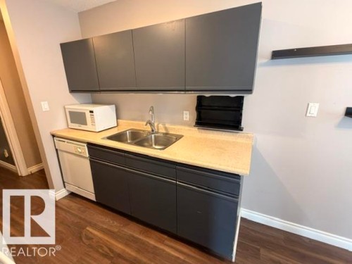 Kitchenette featuring dark gray cabinetry, a light-toned countertop, and a double basin stainless steel sink - 201 11324 97 Street Nw, Edmonton, AB - Indoor Photo Showing Kitchen With Double Sink