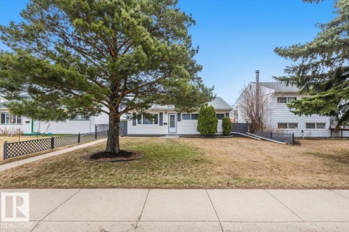 Single-story residence featuring a white exterior, black shutters, and a prominent mature pine tree - 13107 133 Street, Edmonton, AB - Outdoor