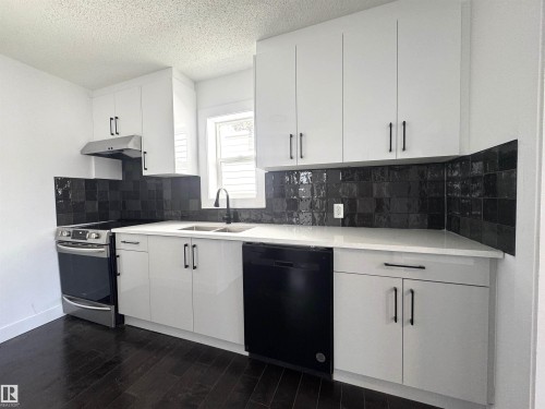 12948 116 Street, Edmonton, AB - Indoor Photo Showing Kitchen With Double Sink