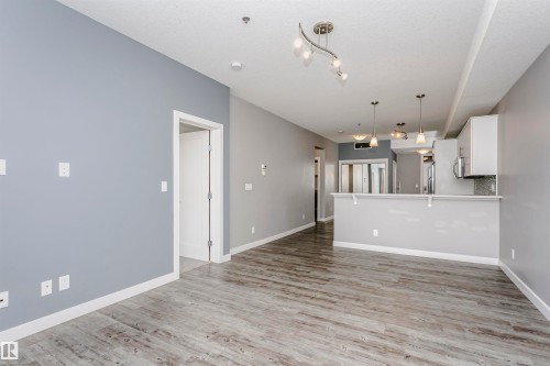 Open concept living space featuring light grey walls, grey wood-style flooring, and a kitchen area with white cabinetry and stainless steel appliances - 211 10808 71 Avenue, Edmonton, AB - Indoor Photo Showing Other Room