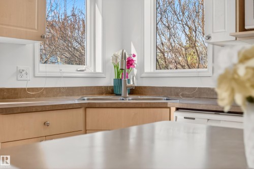 19019 49 Avenue, Edmonton, AB - Indoor Photo Showing Kitchen With Double Sink
